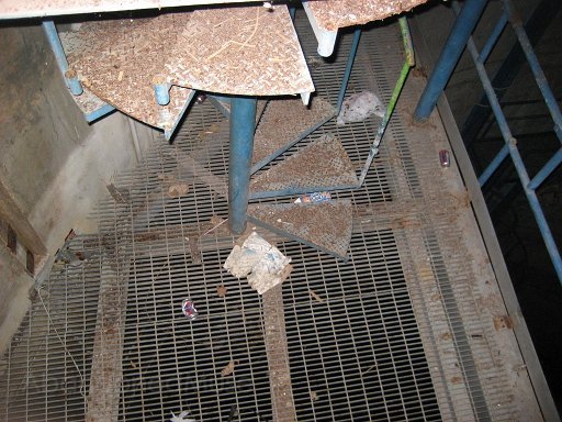 IMG_2478.jpg - Stairs to underground rocket. (2005)