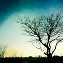 IMG_7275
