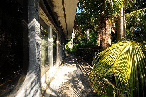 DSC_3486.jpg