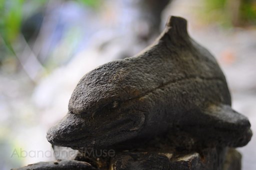 DSC_3784.jpg