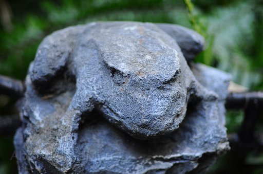 DSC_3785.jpg