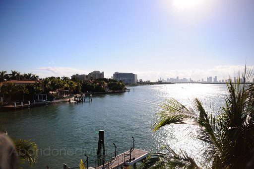 DSC_3878.jpg