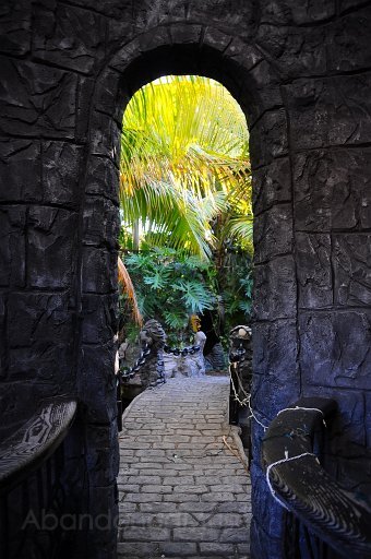 DSC_4005.jpg