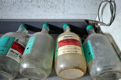 DSC_3464.JPG