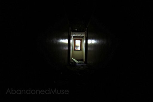 DSC_2573-1.JPG