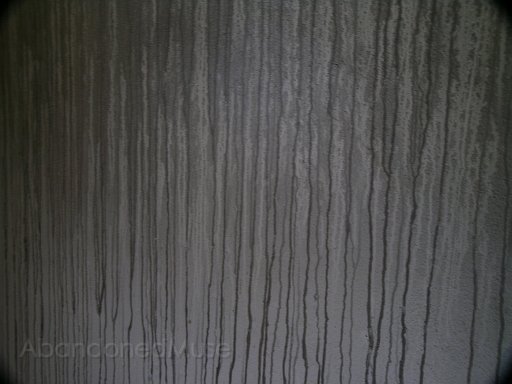DSCN6331.jpg