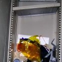 DSCN6244
