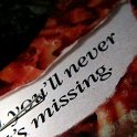DSCN6406