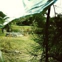 IMG_8109