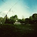 IMG_8121-1