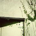 IMG_8123