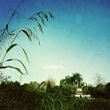 IMG_8128