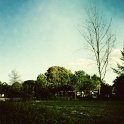 IMG_8129