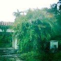 IMG_0774