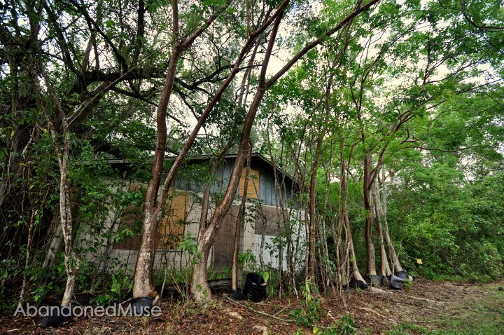 DSC_9565.JPG - We lovingly renamed it the Flea Preserve.  It's full of fleas inside.