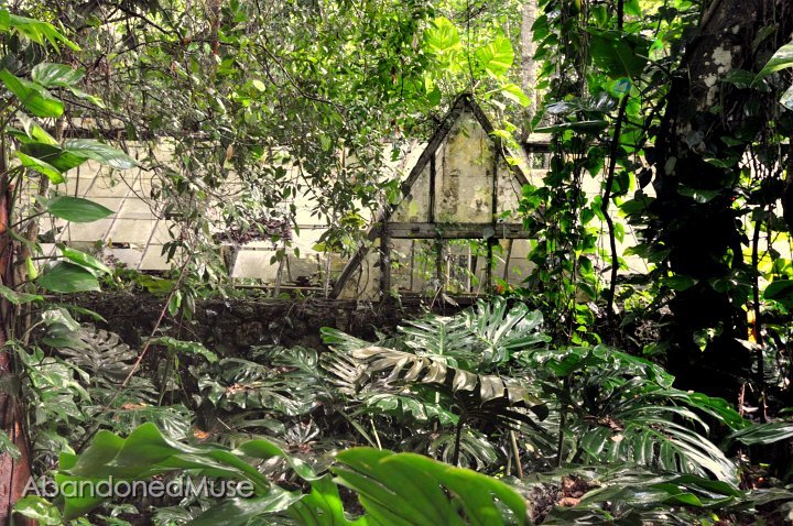 DSC_9575.JPG - Green house