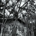 DSC_9565-001