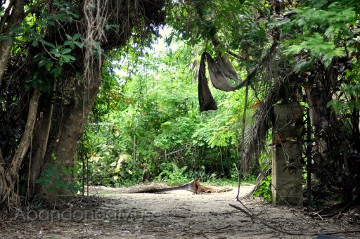 DSC_9532.jpg