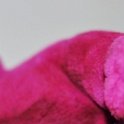 barney