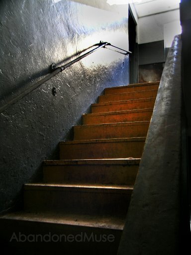 DSCN8883-1.jpg