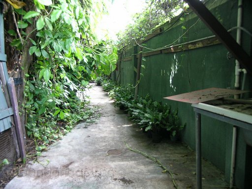 DSCN7543.JPG
