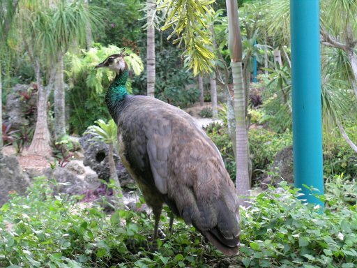 DSCN7570.JPG