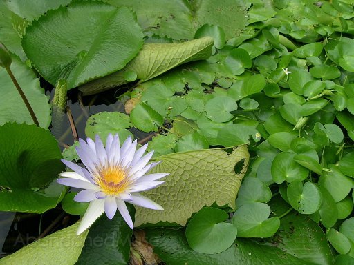 DSCN7573.JPG