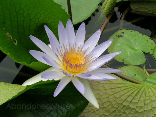 DSCN7577.JPG